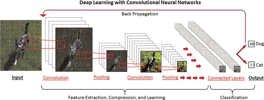 How to build CNN model for Dog Breed Classifier with TensorFlow