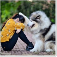 <그림-4> kpf-BERT 토닥토닥, 이미지 출처 : https://m.animalplanet.co.kr/contents/?artNo=8657