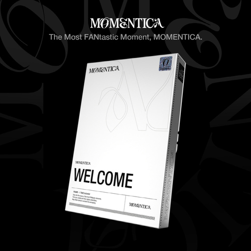 모먼티카 서비스